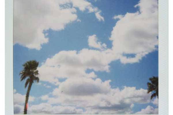 Palm trees under bright blue sky with clouds