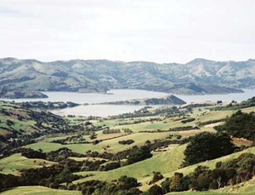New Zealand